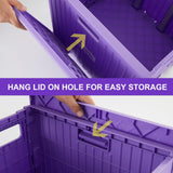 Foldable Utility Cart Folding Portable Rolling Crate Handcart with Durable Heavy Duty Plastic Telescoping Handle Collapsible 4 Rotate Wheels (Purple)