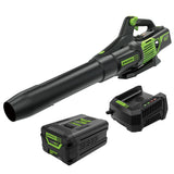 Greenworks 60V 700 CFM Brushless Leaf Blower, 5.0 Ah Battery and Rapid Charger