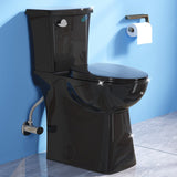 Simple Project 21 Inch Black Toilet, Handicap Toilets for Senior