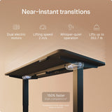 Desktronic HomePro Standing Desk 60x30 — Made in Europe, Ergonomic Sit Stand Home Office Desk