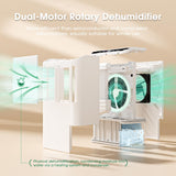Dehumidifiers for Home, 2000 Sq.Ft Small Dehumidifier with 3.3ft Drain Hose, 2.5L Tank, Timer Sleep Mode, Portable Dehumidifier for Basement, Bedroom, Bathroom (Frost White)
