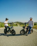OUXI V8 Electric Bike for Adults, 10.4/15/30Ah Battery, Peak 1000/1500W