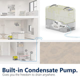 ALORAIR 180 PPD Commercial Dehumidifier with Pump, 6-Year Limited Warranty