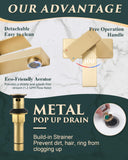 KUZOR Single Hole Bathroom Sink Faucet with Pop-Up Drain, Brushed Gold