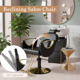 Reclining Barber Salon Chair for Hair Stylist, Professional Hair Stylist Chairs with Heavy Duty Hydraulic Pump, Multi-Function Hairdresser Braiding Styling Chairs Shampoo Chair for Spa Home Euipment