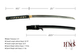 HMS Japanese Samurai Katana and Wakizashi Daisho Combo Set, Iron Tsuba, Hand Forged, Stainless Steel, Black Wooden Scabbard, Unsharpened