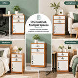 2 Drawer File Cabinet with Lock, Metal Filing Cabinet Document Organizer