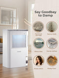 Dehumidifier for Home 2000 Sq.Ft, 85OZ Dehumidifiers for Basement Bedroom Bathroom with Drain Hose, Auto Shut Off, Humidity Display & 7 Color Light