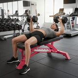 RitFit Adjustable/Foldable Utility Weight Bench for Home Gym, Weightlifting and Strength Training - Bonus Workout Poster with 35 Total Body Exercises, PINK