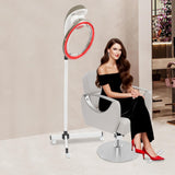Salon Standing Hair Dryer, 950W Orbiting Rotating Hair Processor with Timer and Rolling Wheels for Beauty Spa Home Salon Equipment (Grey)