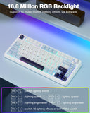 Wireless Mechanical Keyboard, Gasket Hot Swappable Custom Keyboard (White & Blue) AULA