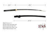 Hand Forged 1045 Carbon Steel Dual-Scene Warrior Katana Full Tang Sword