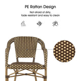 PURPLE LEAF French Bistro Chairs with Arms Set of 2, Bamboo Finish, Brown