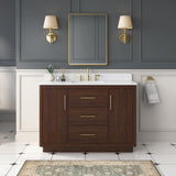 DELUXE LIVING 48 Inch Bathroom Vanity with Sink, Fully-Assembled, Warm Elm