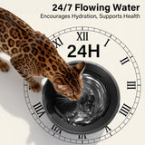 DEEIPET 2.2L/74oz Bubbling Cat Water Fountain, 360° Drinking Area, 24H Oxygen-Rich Flow, Replaceable Pump & BPA-Free ABS, LED Auto Shut-Off Pump, Ultra Quiet USB Adapter, for Cats & Small Dogs