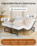 Mixcous King Adjustable Bed Base Frame with Wireless Remote, Zero Gravity