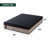 Zinus 14 Inch Queen Lumbar+ Premium Memory Foam Mattress, Medium Firm