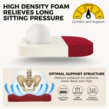 downluxe Indoor Chair Cushions for Dining Chairs, Soft and Comfortable