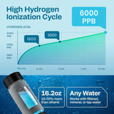 Energilz Hydrogen Water Bottle | 16.2 oz (480 ml) Hydrogen Water Generator | 6000 PPB Hydrogenator Machine | SPE/PEM Ionizer Generator (Black)