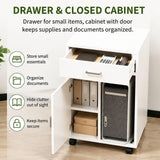 Mobile File Cabinet Office Storage Cabinet with Drawer Under Desk Organizer