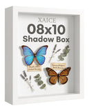 XAICE 8.7x10.8 Shadow Box Frame Display Case, Real Glass, Sturdy Memory Shadows Boxes Frames for Tabletop and Wall, Newlyweds 、Artisans Gifts