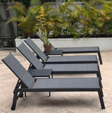 PURPLE LEAF Outdoor Chaise Lounge Set of 2 with Sponge, Easy Move, Grey