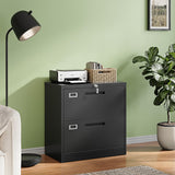 Letaya 2 Drawer File Cabinet with Lock,Metal Lateral Filing Cabinet for Home Office,Hanging Letter/Legal/A4 Size (Black, H27.95×W28.35×D15.74)