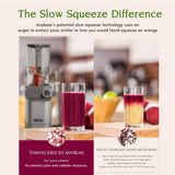 Anybear Cold Press Juicer 200W Masticating Slow Juicer 4.3" Large Feed Chute Fit Whole Fruits Vegetables | Upgraded Auger | Tritan Material | BPA Free | Juice Recipes (Argent Gray)
