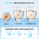 Hydrogen Water Generator Bottles, Hydrogenated Water Bottle with SPE PEM Technology, 460ml(16OZ) Hydrogen Water Bottle Generator for Home, Office, and Travel-Certified H2 Generator-Gift Box