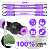 Ayombo Pilates Bar, Pilates Equipment with Adjustable Exercise Bands, Multifunctional Pilates Bar Kit with Resistance Bands for Women,Home Gym Workout Equipment