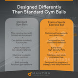 MANTRA SPORTS Yoga Ball Chair - Stability Ball and Exercise with Base for Office Desk Sitting, Active Chair for Posture & Core Support, Seat for Home Gym, Abs, Stretching, Therapy, Fast Pump Included