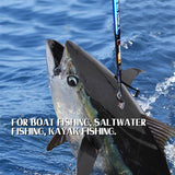 Fishing Gaff Portable Fish Gaff with Stainless Steel Fishing Hook for Saltwater Offshore 3'/5'/6' (Length: 5') Fiblink