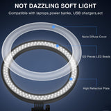 Desk Ring Light with Stand for Computer, Desk Light for Video Recording