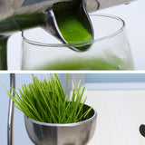 Generic Wheatgrass Juicer, Stainless Steel Portable Pomegranate Juicer Sugarcane Juice Machine Crank Wheatgrass Extractor for Juicing Wheatgrass, Orange, Ginger, Pomegranate, Watermelon Generic