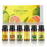 Citrus Essential Oils Set for Diffuser - 6x10ml Aromatherapy Oils Including Bergamot, Lemon, Grapefruit, Lime, Lemongrass, and Citrus Bloom - Essential Oils for Diffuser Use at Home or Office