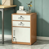 2 Drawer File Cabinet with Lock, Metal Filing Cabinet Document Organizer