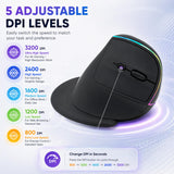 J-Tech Digital Ergonomic Mouse with Wireless Connection, Removable Palm Rest, Thumb Buttons