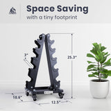 LIONSCOOL Premium Dumbbell Rack Only, with Side Racks for Neoprene/Vinyl Coated Dumbbells Only (Small, 200 LBS) LIONSCOOL