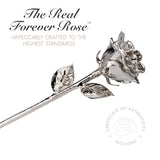 Forever Rose Two Real Roses Dipped in Platinum, Acrylic Heart Vase
