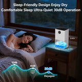 Dehumidifier,1500ML(50 OZ) Small Dehumidifier for Home (300 sq. ft),Quiet with Auto Shut Off, Dehumidifiers for Bedroom, RV, Closet