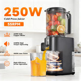 Cold Press Juicer, 5.5inch Wide Feed Chute Juicer Machine, Slow Masticating Juicer for Whole Vegetables & Fruits, Black
