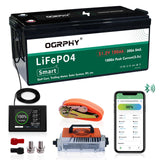 48V Lithium Golf Cart Battery Conversion Kit,with Touch Monitor and Charger