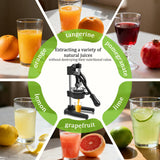 Cast Iron Manual Juicer – Heavy-Duty Hand Press Orange & Lemon Squeezer, Commercial Grade Hand Juicer Press (Black)