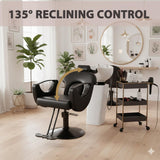 MIMWOW Salon Chair, Reclining Salon Chair for Hair Stylist, Barber Chair with Heavy Duty Hydraulic Pump, Hair Chairs Tattoo Braiding Beauty Spa Equipment, All Cool Black
