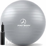 ProBody Pilates Exercise Ball - Multiple Sizes Gym Grade Balance Ball for Fitness, Workout, Pregnancy & Physical Therapy, Stability Yoga Ball Chair (Silver, 65 cm)