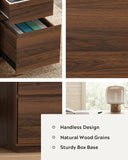 MoomJiee 47" Executive Desk with File Drawer, Farmhouse Computer Desk with Charging Station and Open Storage Compartment Wooden Home Office Desk for Writing Study Working, Brown