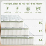 Queen Size Mattress 12 Inch, Medium Firm Memory Foam Hybrid Mattress with Individual Pocket Spring - Pressure Relief, Motion Isolation, Cool Sleep, 60" x 80"