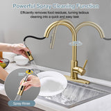 TOYWIA Gold Kitchen Faucets with Pull Down Sprayer, Single Handle High Arc Modern Stainless Steel Sink Faucet with Deck Plate, 1 or 3 Hole Deck Mount for RV, Bar, Farmhouse, Laundry, Outdoor