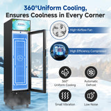 BODEGACOOLER Beverage Refrigerator and Cooler, 7.71 Cu. Ft Commercial Refrigerators for Drink, Beer, Tall Commercial Cooler