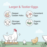 Mile Four Organic Chicken Grower Pellet Feed Kit + Grit + Oyster Shell